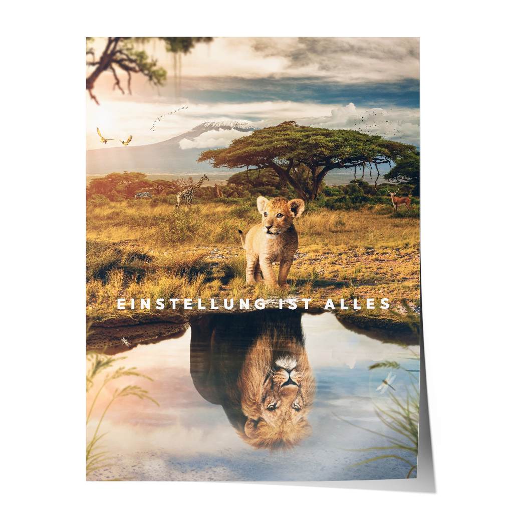 Mindset is everything #Afrika - Poster